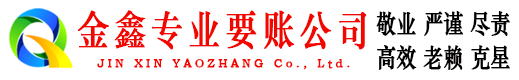 宁国金鑫追账公司